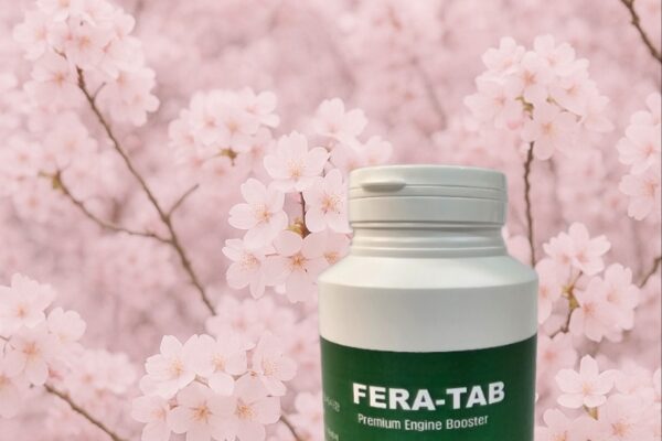 KakaoTalk_20251029_224634722_04