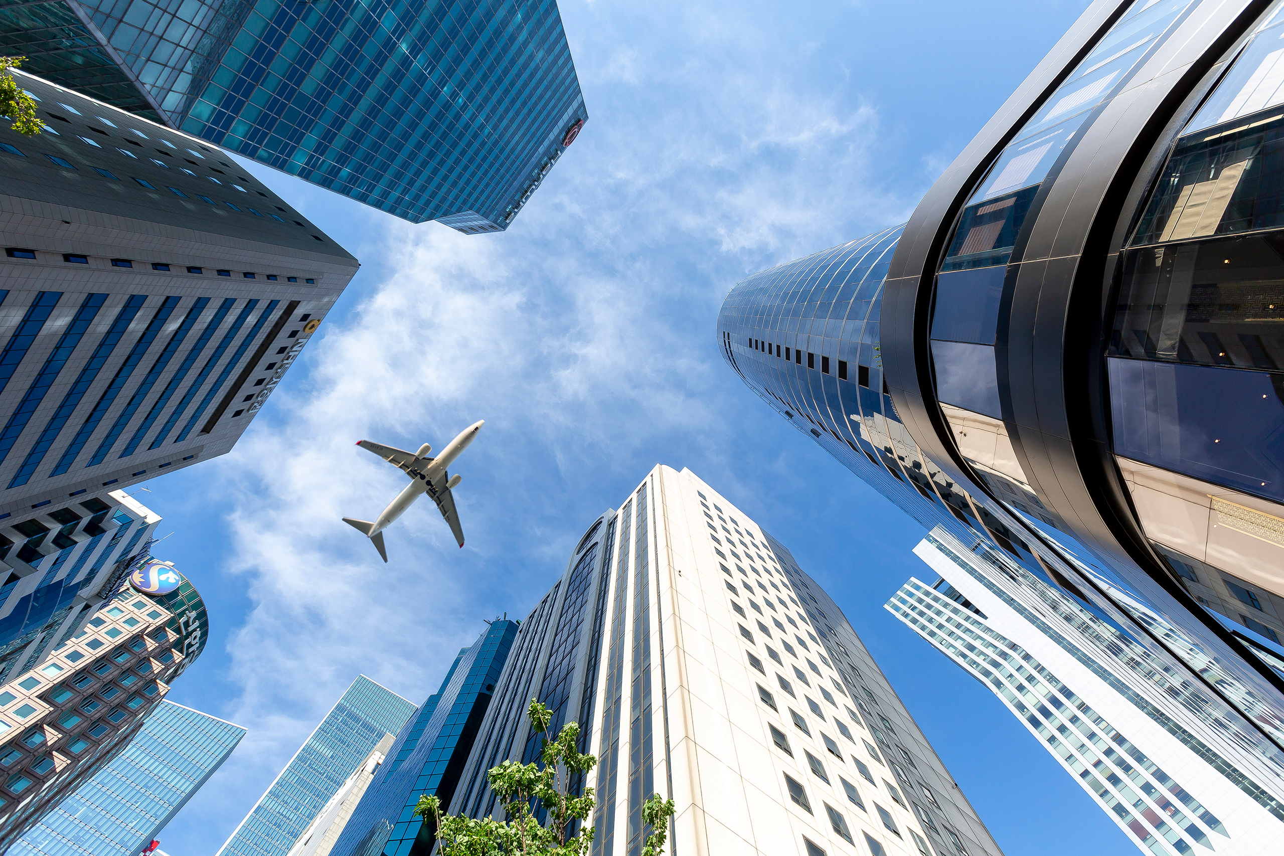 세계 환경의 날 (6월 5일)